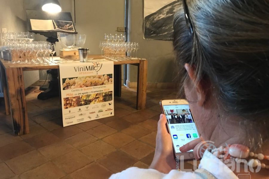 Partita ufficialmente la 38ma ViniMilo #ViniMilo2018 #ViniMilo #EtnaDoc #EtnaBiancoSuperiore #Etna #vino #wine #sicily #Milo #ComunediMilo #food #streetfood #fingerfood #cibodistrada #quality #Carricante #eventi #festa #estate #Summer #montagna #mountain #vigneto #vineyard #grapes #uva #nerello #nerellomascalese #photooftheday #picoftheday per maggiori info visita il sito ufficiale http://bit.ly/ViniMilo18